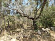 Terreno, Benquerenças, Castelo Branco | BPI Expresso...