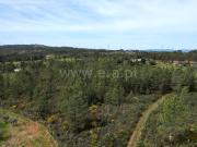 Terreno, Benquerenças, Castelo Branco | BPI Expresso...