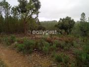 Terreno, Benquerenças, Castelo Branco | BPI Expresso...