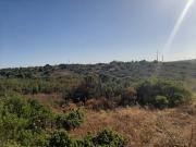 Terreno, Bensafrim e Barão de São João, Lagos | BPI...