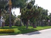 Terreno en Venta en Provenza Residencial, muy bonito