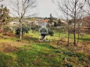 Terreno, Boaaldeia, Farminhão e Torredeita, Viseu | BPI...