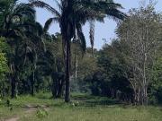 Terreno Boca del Río