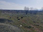 Terreno, Boceguillas