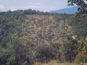TERRENO BOSCHIVO