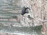 terreno boschivo mq999900 Privato