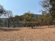 Terreno Boscoso, con Planicies, Manantiales y Vistas...