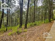 TERRENO BOSCOSO EN VENTA – LOS LIRIOS, CARBONERAS,...