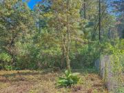 TERRENO BOSCOSO EN VENTA ZONA RESIDENCIAL EN AVÁNDARO