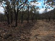 TERRENO BOSQUES DEL TARAY