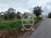 Terreno, Brasfemes, Coimbra | BPI Expresso Imobiliário