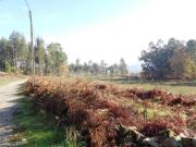 Terreno, Briteiros Santo Estêvão e Donim, Guimarães |...