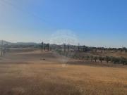 Terreno, Brogueira Parceiros de Igreja Alcorochel