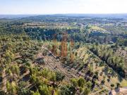 Terreno, Brogueira Parceiros de Igreja Alcorochel