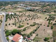 Terreno, Brogueira, Parceiros de Igreja e Alcorochel,...