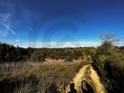Terreno, Brogueira, Parceiros de Igreja e Alcorochel,...