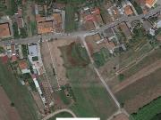 Terreno, Bustos, Troviscal e Mamarrosa, Oliveira do...