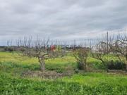 Terreno c/ viabilidade de construção de atividades...