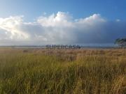 Terreno c/ Vista Ria Gafanha da Encarnação