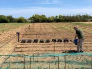 Terreno, Cabrera de Mar