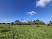 Terreno, Cabueñes, Gijón