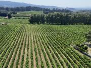 Terreno, Caíde de Rei, Lousada | BPI Expresso Imobiliário