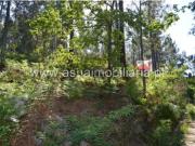 Terreno Caires
