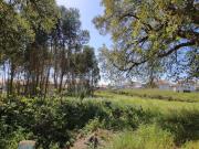Terreno, Caldas Da Rainha Santo Onofre e Serra Do Bouro,...