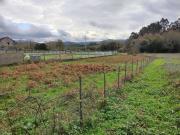 Terreno, Caldas de Reis