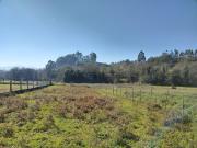 Terreno, Caldas de Reis