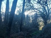 Terreno, Caldelas, Sequeiros e Paranhos, Amares | BPI...