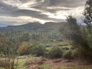 Terreno, Caldones, Gijón