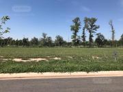 Terreno Camino a San Carlos