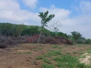 Terreno Campestre cerca de la Carretera Nacional en área... Terreno Campestre cerca de la Carretera Nacional en área...