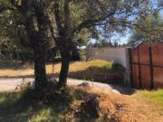 TERRENO CAMPESTRE CON CABAÑA EN VENTA, HUITZILAC MORELOS