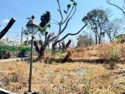 Terreno Campestre en La Pradera Cuernavaca MAZ 2445 Tca