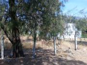 TERRENO CAMPESTRE EN LOMAS DEL PINAR