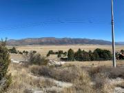 TERRENO CAMPESTRE EN PORTAL DE SAN ANTONIO