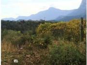 TERRENO CAMPESTRE EN RENTA CARRETERA NACIONAL