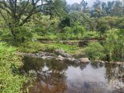 Terreno campestre en San Marcos de León, Xico, Veracruz