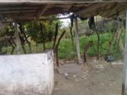 Terreno Campestre en Santa María Ahuacatitlán Cuernavaca...