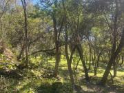TERRENO CAMPESTRE EN VENTA, ALLENDE N.L