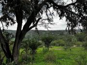 Terreno campestre en Venta en Calvillito, Aguascalientes