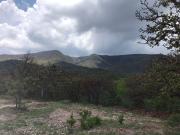Terreno CAMPESTRE EN VENTA EN COMUNIDAD DE RANCHOS EN...