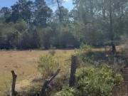 Terreno campestre en venta en los Espinos predio la...