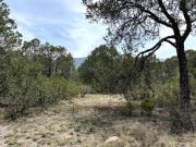 Terreno campestre en VENTA en Pino Real