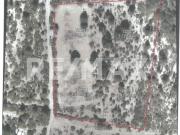 Terreno Campestre en Venta en Pino Real, Arteaga, Coahuila