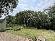 Terreno campestre en Venta Fraccionamiento Lantana Coatepec