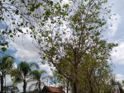 TERRENO CAMPESTRE EN VENTA RUMBO AUTODROMO DE LEON