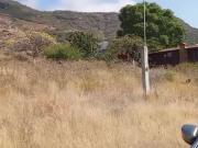 Terreno Campestre para desarrollo de casa habitación de...